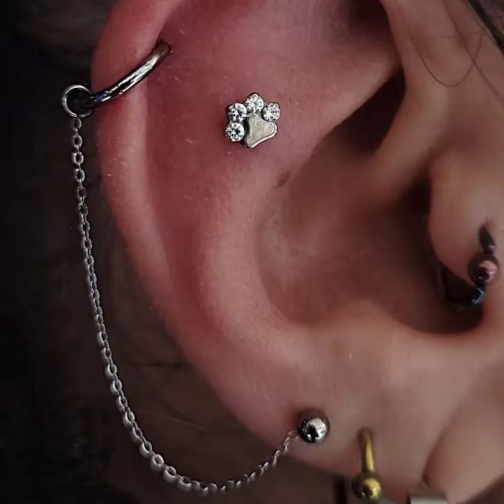 Catena per Naso in Titanio a T - Body Jewelry Ear Piercing recensione e prezzo