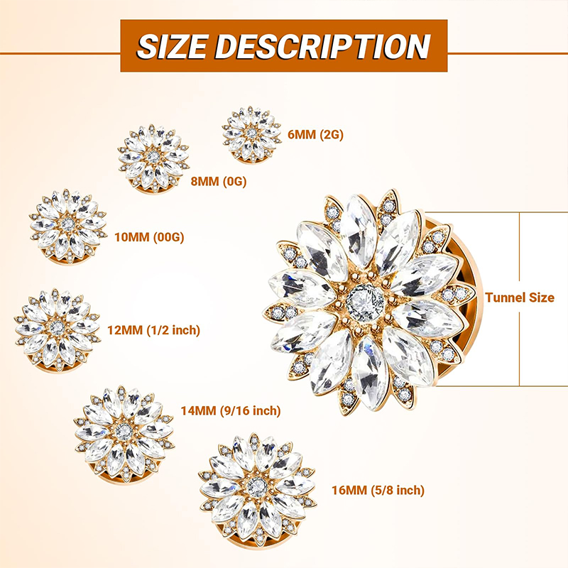 Tappi e Tunnel per Orecchie co - Body Jewelry Ear Piercing recensione e prezzo